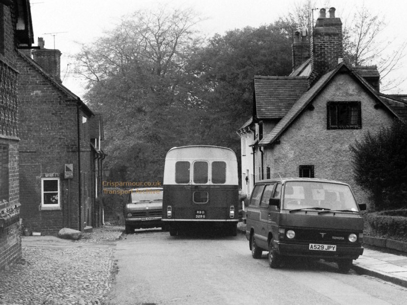 Survivor? [number 2]